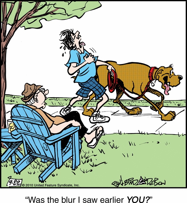 marmaduke